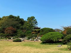 -西湖外事游船(花港观鱼码头)