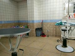 -诺比宠物医院心脏内科·泌尿肾内外科·骨科急重症