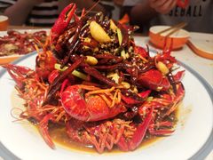 -杨氏青龙虾·羊蝎子(托乐嘉店)