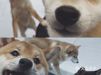 这是可以治愈世界上一切不开心的笑容啊