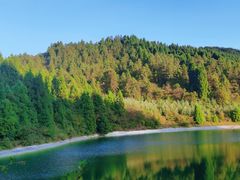 -武陵山森林公园