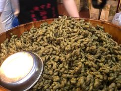 -沈氏祖传老宁波油赞子(南塘店)