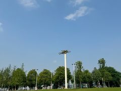 -洋湖国家湿地公园