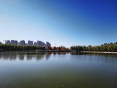 -五环公园