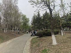 -莫子山公园
