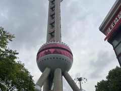 -上海海洋水族馆