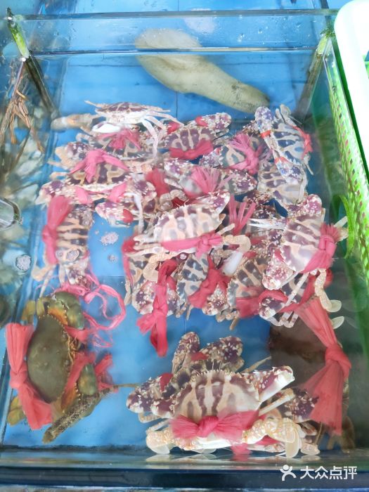 七鲜渔港美食餐厅(巽寮湾海景店)图片