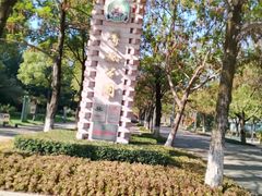 -青枫公园