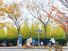 -南京财经大学(仙林校区)