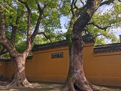-西园戒幢律寺