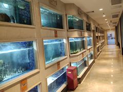 水产区-顺峰(农展馆店)