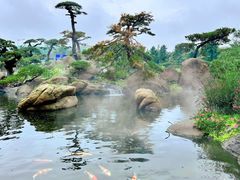 -罗红摄影艺术馆