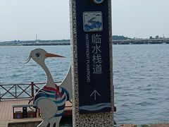 -丁香湖公园