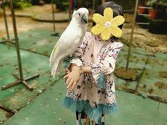 -青瓦房古村落