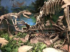 -自贡恐龙博物馆