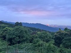 -金水泊山庄·花椒鸡(铁山坪店)