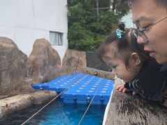 -海合安成都极地海洋公园