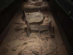 -北京大葆台遗址博物馆