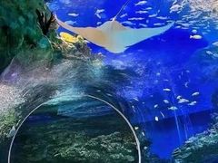 -常州海昌海洋探索馆