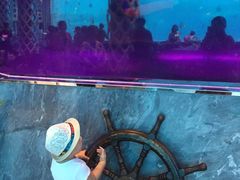-瑞德姆美人鱼海底演艺主题餐厅(亚龙湾店)
