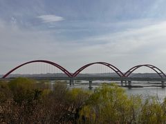 -丹水桥地锅鱼·翘嘴鲌·地方特色全鱼宴(丹江口大坝店)