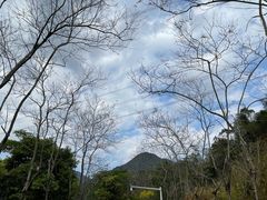 -清溪森林公园