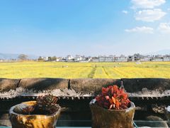 -喜林苑·稻田餐厅(品相府店)