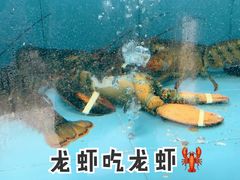 -悦湖公馆
