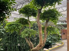 -金稼园·金平湖农家菜