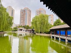 -团结湖公园