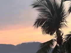 -日落吧·海景咖啡厅·餐酒吧·鸡尾酒·下午茶·乐队表演·浪漫夕阳·三亚文华东方酒店