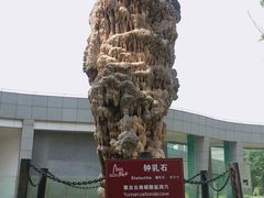 -金钉子远古世界景区