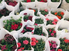 -双季花艺园艺市场(浦东店)