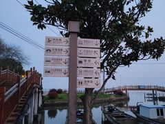 -莲花岛景区
