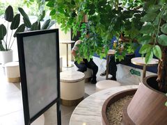 -CoCo都可(中联广场店)