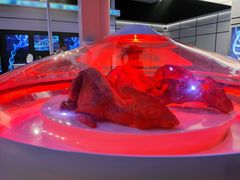 -侏罗纪世界电影特展(广州站)