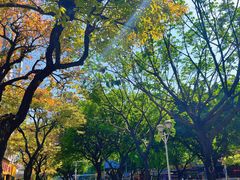 -佛山市图书馆(祖庙路分馆)