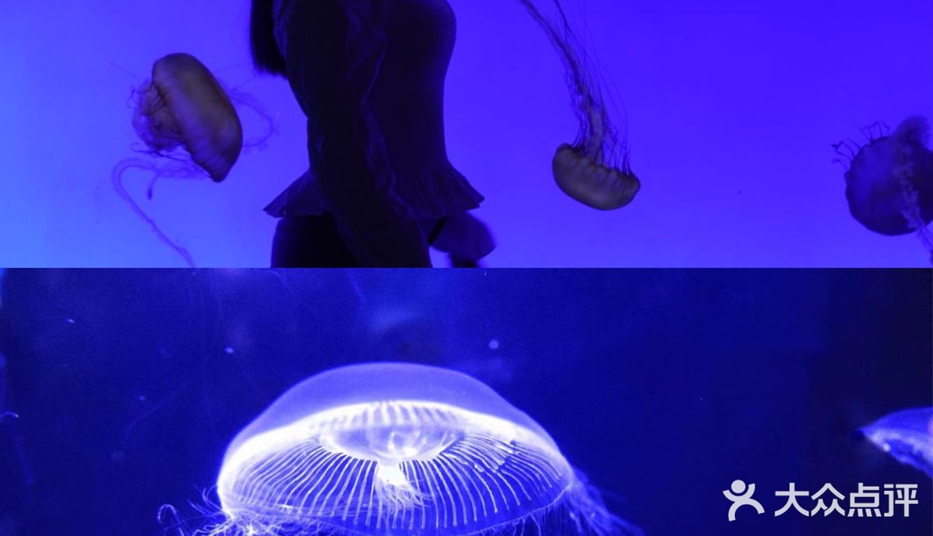 超出片｜青岛海底世界🐠小长假约起来