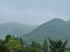 -莫干山风景区