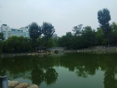-莲湖公园