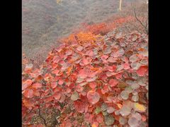 -水峪民俗村