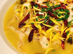 老坛酸菜鱼-乾园(天河城店)