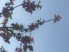 -南京钟山宾馆(江苏省会议中心)