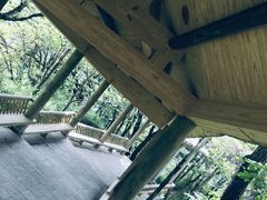 -牛背梁国家森林公园