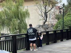 -常州武进九洲喜来登酒店
