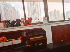 -温鉴良实用咏春拳