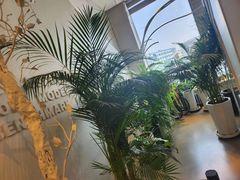 -哈尔滨圣安口腔专科医院