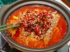 -新仙清汤牛腩(铜锣湾店)