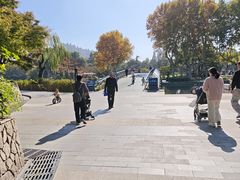 -听松楼·花园酒店·自助餐厅(红梅公园店)