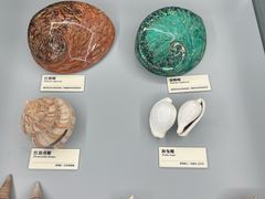 -天津古林古海岸遗迹博物馆
